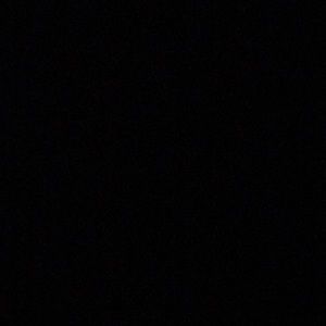 Meet your Posher, Sandy